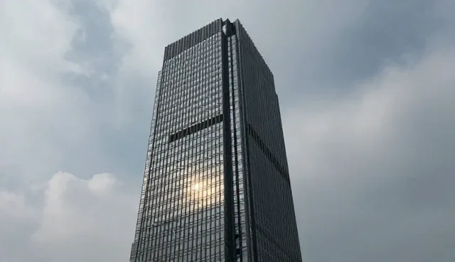 管理软件选型中的常见问题与应对策略